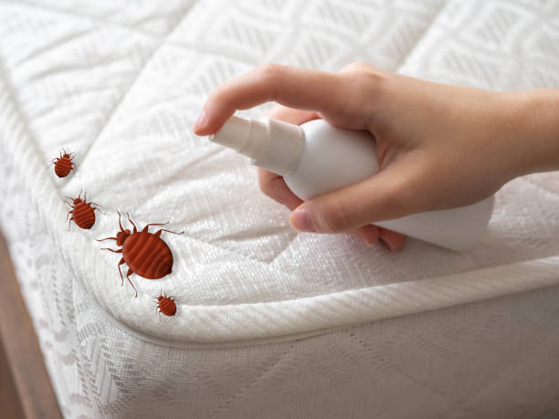 Emergency Pest Control in Waunakee, WI